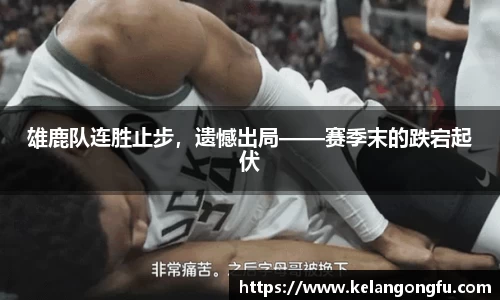 qy球友会体育