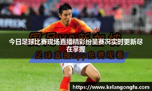 qy球友会体育