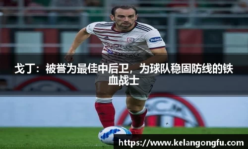 戈丁:被誉为最佳中后卫,为球队稳固防线的铁血战士